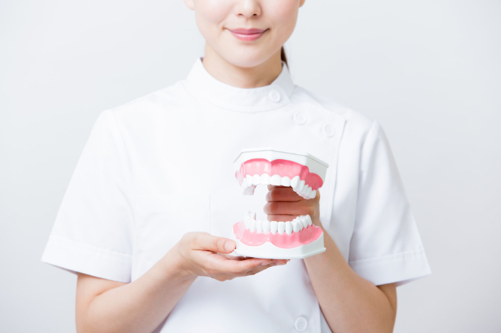 後戻りについて模型を使って説明する歯科医